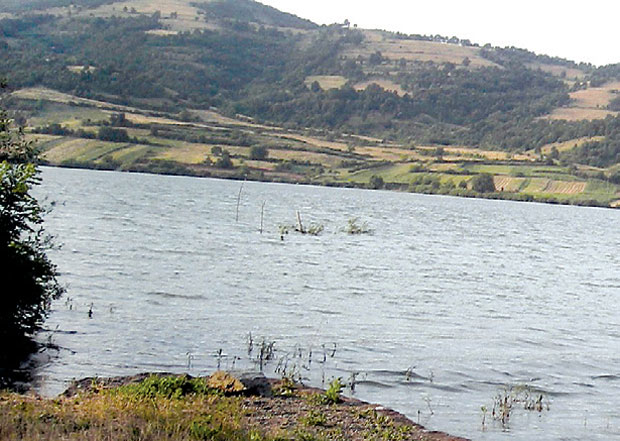 Испливао леш код Голупца